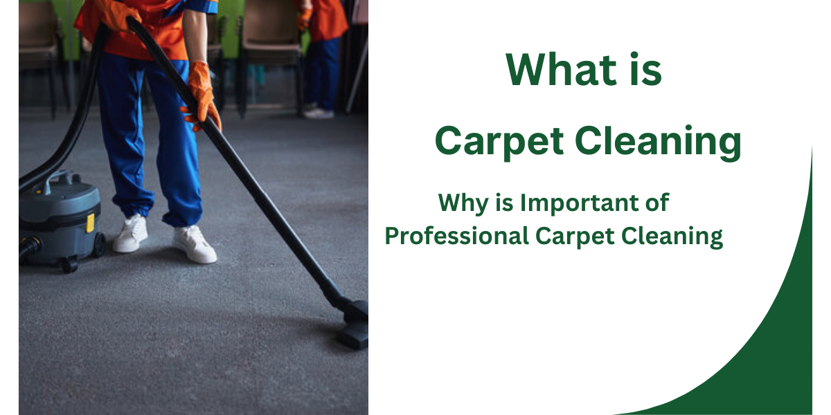 Carpet Cleaning Services